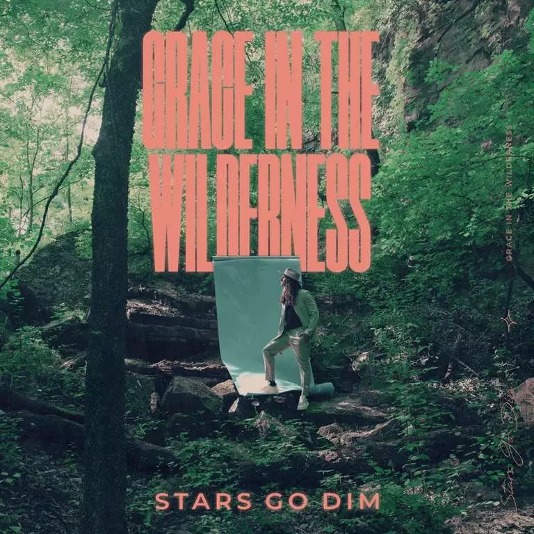 Grace In The Wilderness by Stars Go Dim