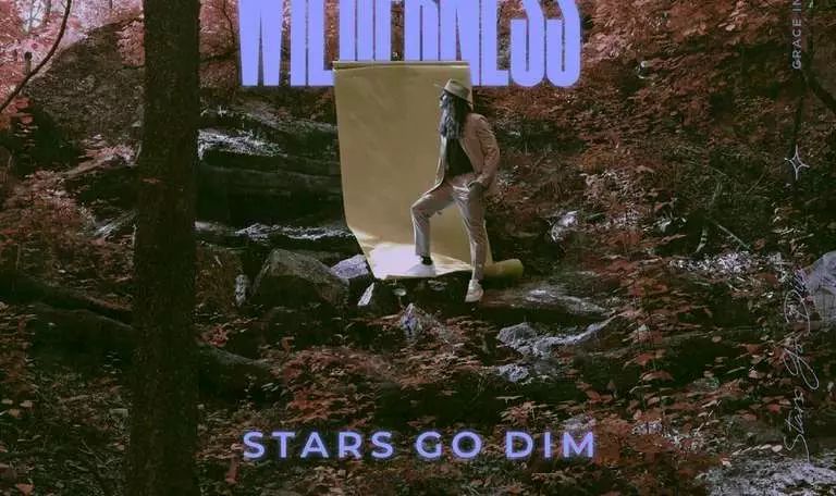 Grace In The Wilderness by Stars Go Dim 