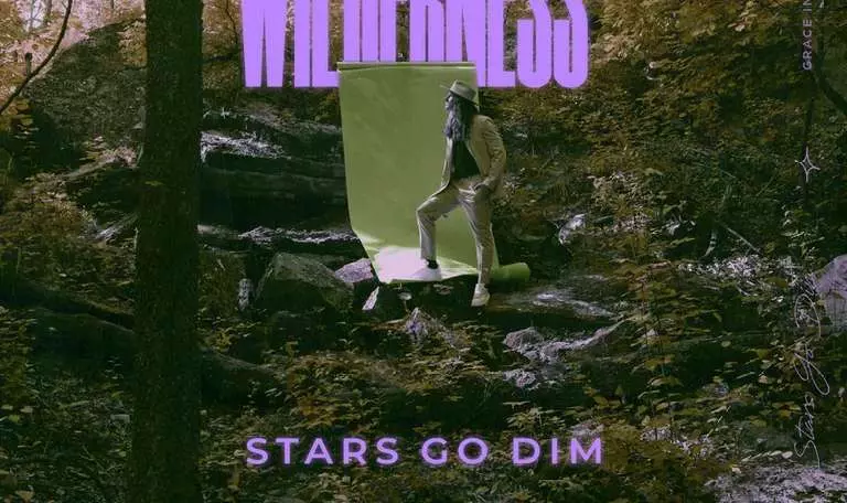 Wasted by Stars Go Dim