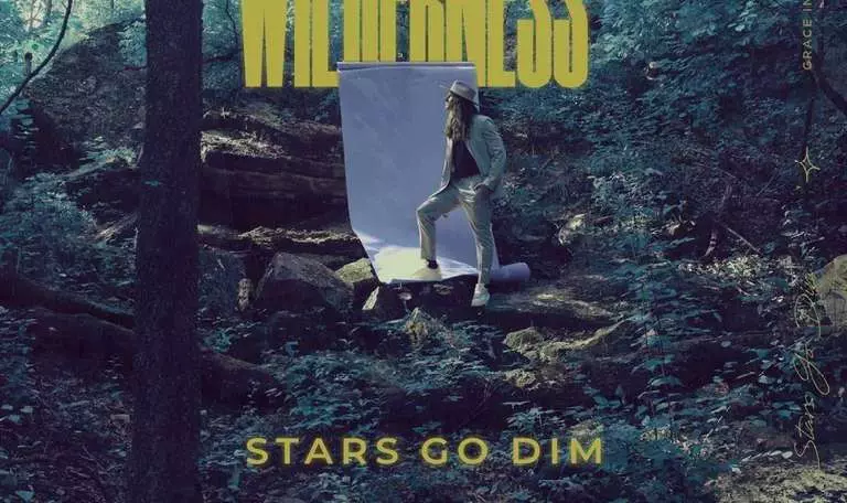 What Your Love Can Do by Stars Go Dim 