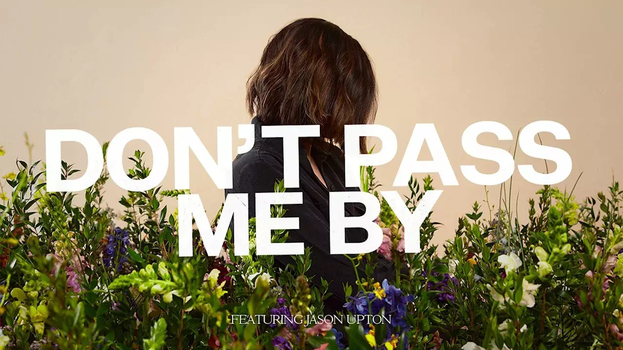 Don't Pass Me By by Kristene DiMarco 