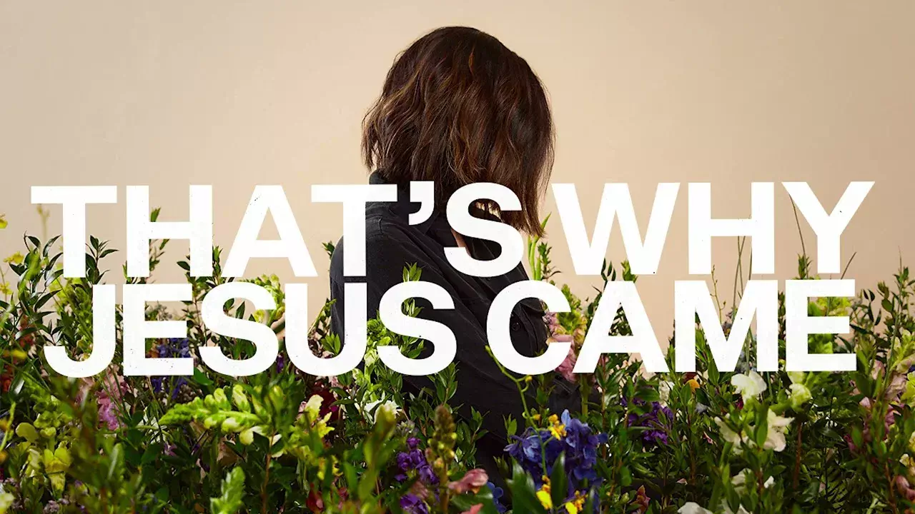 That's Why Jesus Came by Kristene DiMarco 