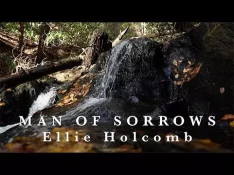 Man of Sorrows by Ellie Holcomb