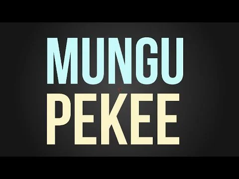 Mungu Pekee by Nyashinski