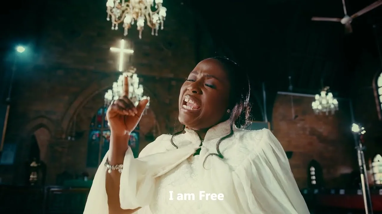 Free Indeed by Diana Hamilton 