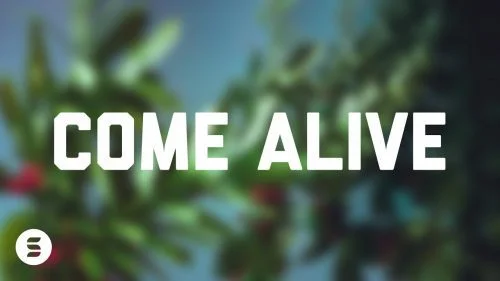 Come Alive by Switch