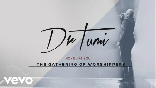 None Like You by Dr Tumi