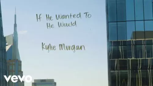 If He Wanted To He Would by Kylie Morgan
