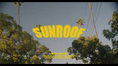 Sunroof by Nicky Youre, dazy