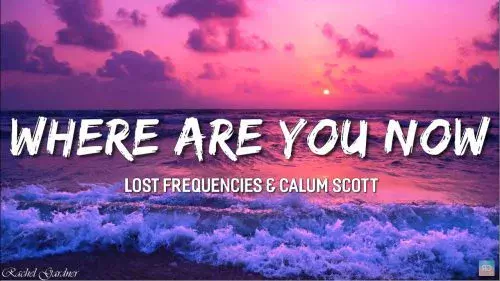 Where Are You Now by Rachel Gardner ft. Lost Frequencies & Calum Scott