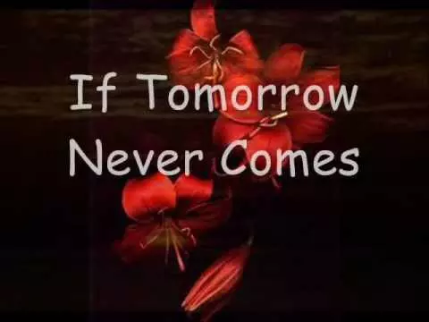 If Tomorrow Never Comes by Ronan Keating