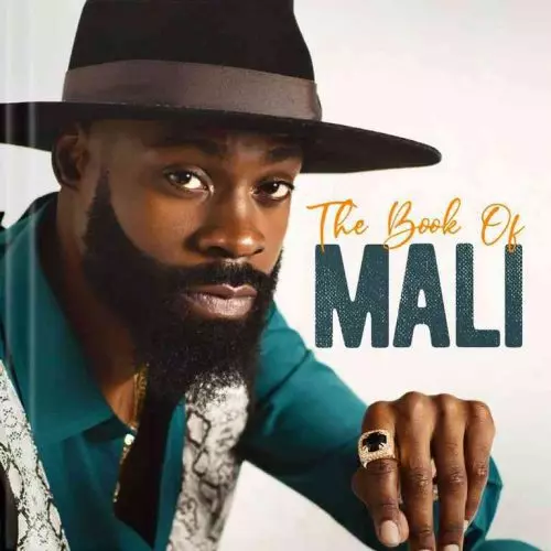 The Book of Mali by Mali Music