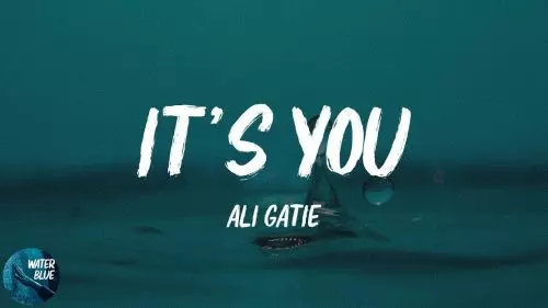 It's You by Ali Gatie