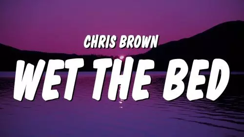 Wet The Bed by Chris Brown