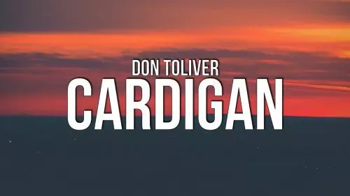 Cardigan by Don Toliver