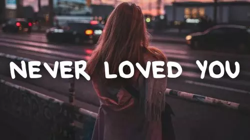 Never Loved You by Evie Clair