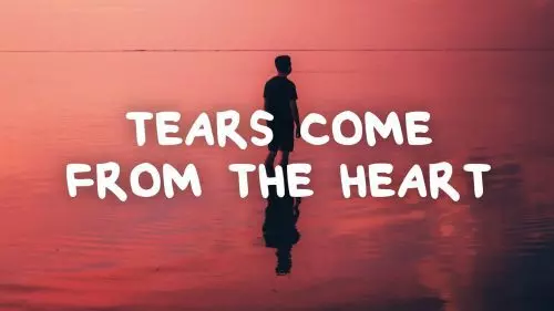 Tears Come From The Heart by Jon Caryl