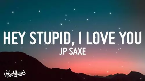 Hey Stupid, I Love You by JP Saxe