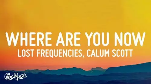 Where Are You Now by Lost Frequencies & Calum Scott