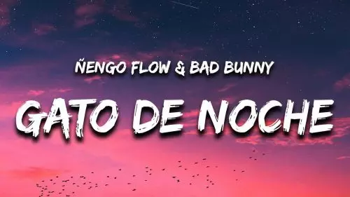 Gato de Noche by Ñengo Flow & Bad Bunny