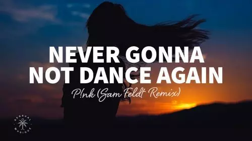 Never Gonna Not Dance Again by P!NK