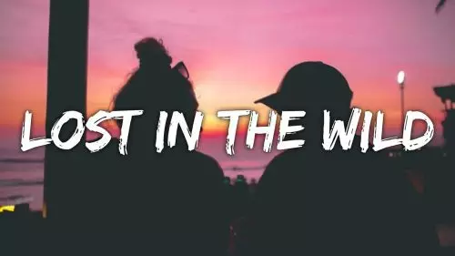 Lost In The Wild by Walk The Moon