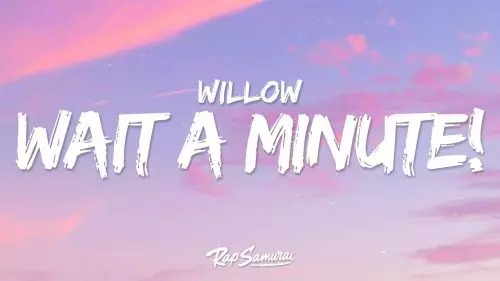 Wait A Minute! By Willow