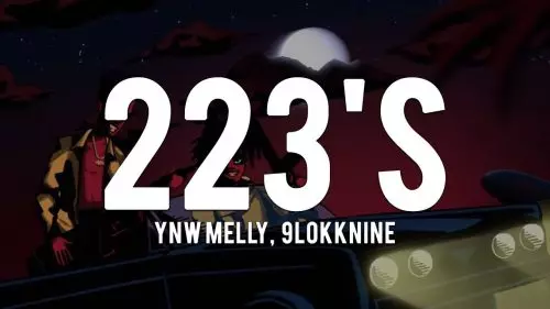 223s by YNW Melly ft. 9lokknine