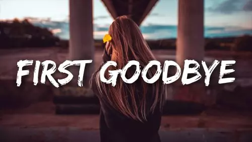 First Goodbye by Georgia Webster