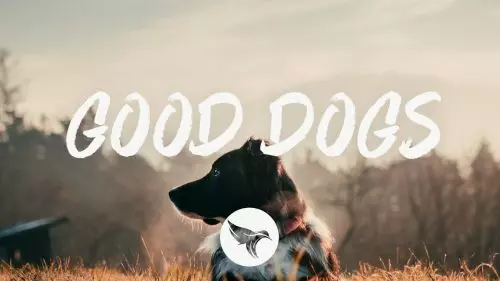 Good Dogs by Jameson Rodgers
