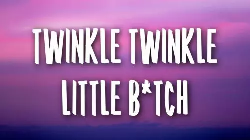 Twinkle Twinkle Little B*tch by Leah Kate