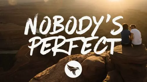 Nobody's Perfect by The Reklaws