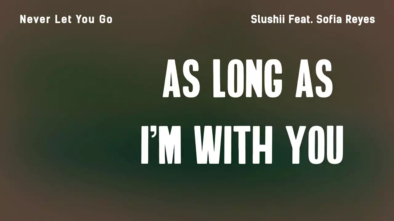 Slushii - Never Let You Go