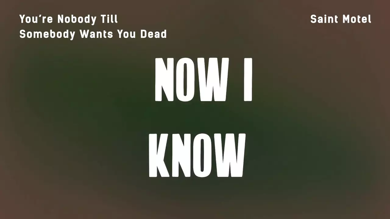 Saint Motel - You'Re Nobody Till Somebody Wants You Dead