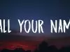 Alesso & John Newman – Call Your Name