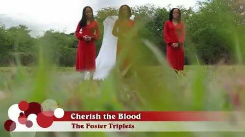The Foster Triplets – Cherish The Blood