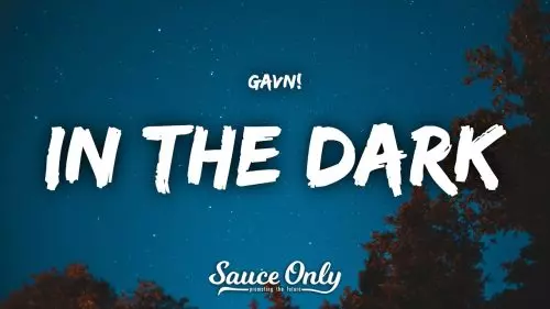 gavn! – In The Dark