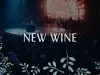 Hillsong Worship – New Wine