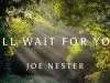 Joe Nester – I’Ll Wait For You