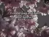 Local Sound – I Could Sing Of Your Love Forever
