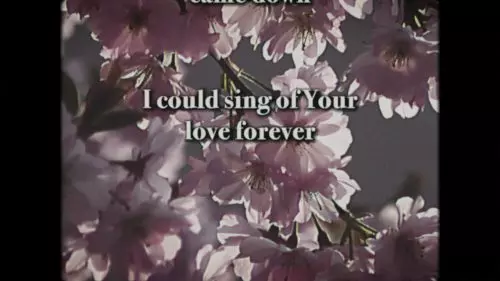 Local Sound – I Could Sing Of Your Love Forever