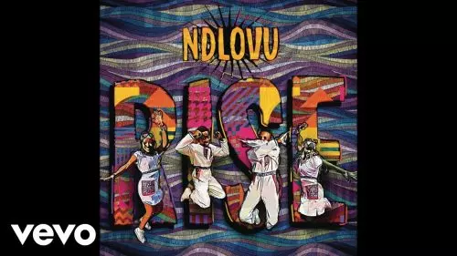 Ndlovu Youth Choir – Swallow