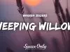 Warren Zeiders – Weeping Willow
