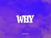 Aaron Cole – Why