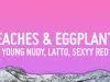 Young Nudy – Peaches & Eggplants Remix ft Latto & Sexyy Red [Remix]