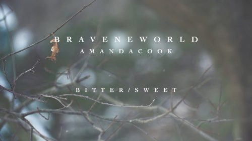 Amanda Cook – Bitter/Sweet