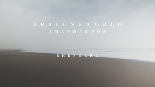 Amanda Cook – Shepherd