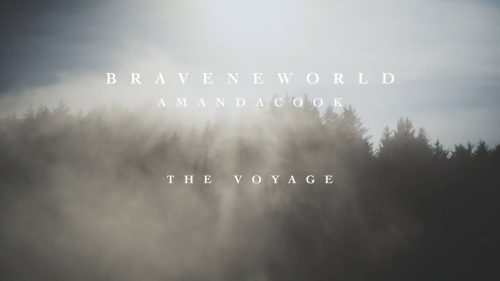 Amanda Cook – The Voyage