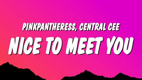 PinkPantheress – Nice To Meet You ft Central Cee