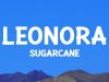 Sugarcane – Leonora